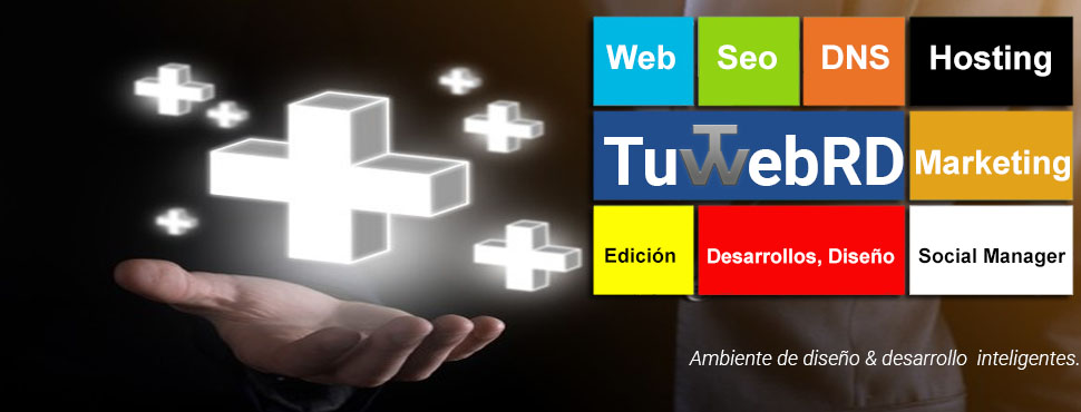 Diseño Web en Punta Cana